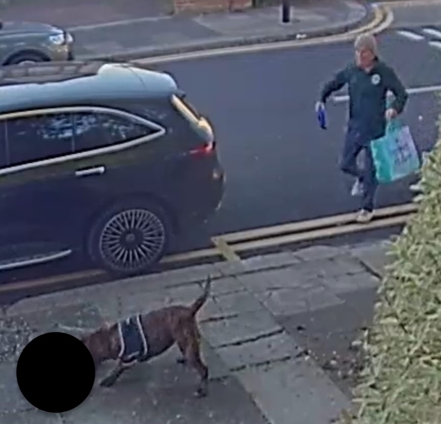 Man and dog seen in Haringey